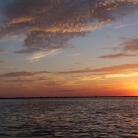 Paradise Dolphin Cruises photo