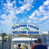 Paradise Dolphin Cruises photo