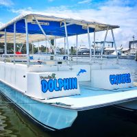 Paradise Dolphin Cruises photo