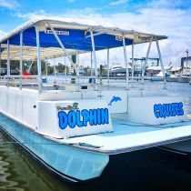 Paradise Dolphin Cruises, The Kokomo