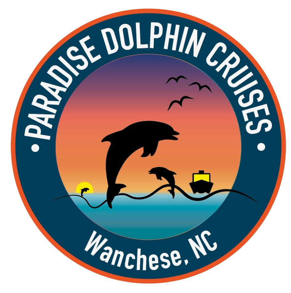 Dolphin Adventures - All-New Live Bottlenose Dolphin Show